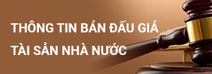 tt-ban-dau-gia.png